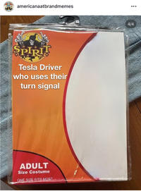 AMERICANA AT BRAND A PARK AT THE GALLERIA americanaatbrandmemes SPIRIT Tesla Driver who uses their turn signal ADULT Size Costume ONE SIZE FITS MOST ... 4/4
