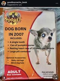goodboynacho_book Suggested for you SPIRIT DOG BORN IN 2007 INCLUDES: • A single tooth • Can of pumpkin puree • Resting heart rate of 10 beats per minute Large pill container Optional Accessories: . Baby carriage Blind dog halo ADULT Size Costume ONE SIZE FITS MOST Does not include: -Ability to survive an apocalypse [ L