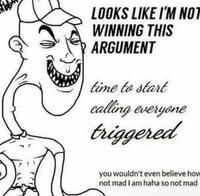 LOOKS LIKE I'M NOT WINNING THIS ARGUMENT time to start calling everyone triggered you wouldn't even believe how not mad I am haha so not mad