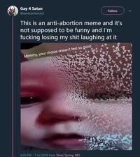 Gay 4 Satan @aardvarkwizard Follow This is an anti-abortion meme and it's not supposed to be funny and I'm f------ losing my s--- laughing at it Mommy, your choice doesn't feel so good. 9:26 PM-7 Jul 2018 from Silver Spring, MD