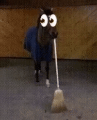 A "GIF":https://knowyourmeme.com/memes/cultures/gif of a horse sweeping with the 👀 "emoji":https://knowyourmeme.com/memes/emoji.