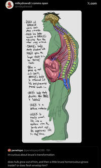 milkydraws8 | comms open @milkydraws8 •HULK and BRUCE store each others memories. •Hulk has better access to BRUCE'S memories than the around. way other •BRUCE's body slowly dissolves into HULK'S spine the longer HULK is in his 'ACTIVE' state. •After a period of rest and CALM BRUCE's body is reformed and his brain/memories passed back in. •HULK's body slowly dissolves after BRUCE is 'hatched' ·HULK is a defense mechanism HULK is really smart. He was a newborn when the bomb went off He experiences life In real time. penelope @penelopep4386-19h im curious about bruce's transformation does hulk grow out of him, and then a little bruce homonculous grows inside? or does flesh envelop him? X.com