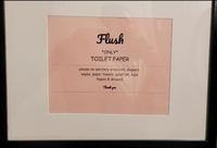 Flush *ONLY* TOILET PAPER please no sanitary products, diapers, wipes, paper towels, goldfish, toys hopes & dreams Thank you