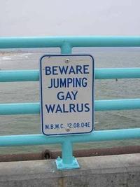 BEWARE JUMPING GAY WALRUS M.B.M.C. 12.08.04E