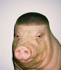 An ai image of a pig with a buzz cut. The pig is sometimes known as w----- pig.