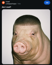 r/cool r/ u/sloppachoppa • 1mo Am I cool? Join