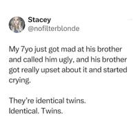 Stacey @nofilterblonde My 7yo just got mad at his brother and called him ugly, and his brother got really upset about it and started crying. They're identical twins. Identical. Twins.