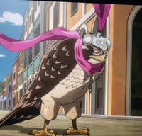 When you accidentally stumble upon someone's mansion in Cairo and you see this cute bird and try to ...