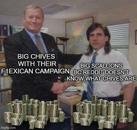 BIG CHIVES WITH THEIR BIG SCALLIONS F1EXICAN CAMPAIGN BC REDDIT DOESN'T KNOW WHAT CHIVES ARE imgflip.com
