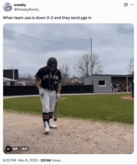 X user @SneakyRocks_ tweeted, "When team usa is down 0-2 and they send pge in," alongside the Triple T Baseball GIF.