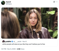 layzy @2layzy DO guddifer _selah ⚫ Nov 8 white people will stare at you like they can't believe you're free 1:21 PM ⚫ Nov 9, 2025 2.5M Views Q