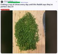 A Reddit post titled, "Cutting a cup of chives every day until this Reddit says they’re perfect. Day 23."