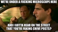 WE'RE UNDER A F------ MICROSCOPE HERE AND I GOTTA HEAR ON THE STREET THAT YOU'RE FAKING CHIVE POSTS?