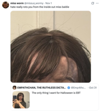 The "quote-tweet":https://knowyourmeme.com/memes/quote-retweets-qrts that started the Empathchan is Bald Theory, concerning "Twitter / X":https://knowyourmeme.com/memes/sites/twitter-x user Empathchan.