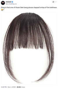 A "tweet":https://knowyourmeme.com/memes/sites/twitter-x speculating that Twitter / X user Empathchan is using clip-on bangs to cover a bald spot. 