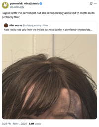 A "tweet":https://knowyourmeme.com/memes/sites/twitter-x mentioning that X user Empathchan is likely addicted to meth, meaning that if she had a bald spot, that could be a reason.