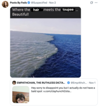 A "quote-tweet":https://knowyourmeme.com/memes/quote-retweets-qrts speculating that "Twitter / X":https://knowyourmeme.com/memes/sites/twitter-x user Empathchan uses clip-on bangs to hide a bald spot.