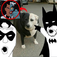 Look robin! It’s two face!