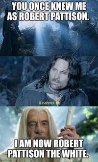 A "meme":https://knowyourmeme.com/memes/memes shared in the 📚Twilight Shitposting💿 "Facebook":https://knowyourmeme.com/memes/sites/facebook-meta group, referencing the White Robert Pattinson meme.