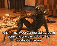 @khaotickayleee when i finally get comfortable around someone and can exist as the creature i truly am