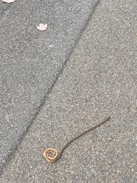 A padawan was knighted on my college campus | /r/PrequelMemes