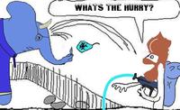 WHATS THE HURRY?