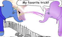 My favorite trick!!