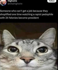 Highwire @vitalhighwire Follow Someone who can't get a job because they shoplifted one time watching a r----- p-------- with 34 felonies become president