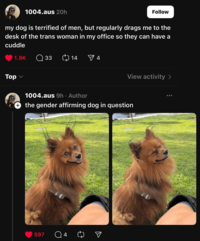 1004.aus 20h Follow my dog is terrified of men, but regularly drags me to the desk of the trans woman in my office so they can have a cuddle Top 1.9K 33 () 14 4 View activity > 1004.aus 9h. Author the gender affirming dog in question 597 Q4 ☑