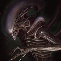 Xenomorph 
