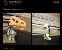 Trey the Explainer @Trey_Explainer Dinosaur fossil attempts. X.com 6:48 PM 4/3/20