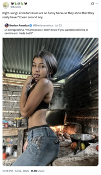 A "quote-tweet":https://knowyourmeme.com/memes/quote-retweets-qrts of the original "tweet":https://knowyourmeme.com/memes/sites/twitter-x that "reposted":https://knowyourmeme.com/memes/repost the photo of the Latina woman cooking over a fire and biting her finger, captioned, "Ur average Latina: 'Mi amooooor, I didn't know if you wanted cochinita or ceviche so I made both!'"