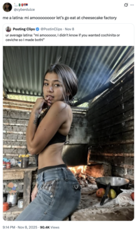 A "quote-tweet":https://knowyourmeme.com/memes/quote-retweets-qrts of the original "tweet":https://knowyourmeme.com/memes/sites/twitter-x that "reposted":https://knowyourmeme.com/memes/repost the photo of the Latina woman cooking over a fire and biting her finger, captioned, "Ur average Latina: 'Mi amooooor, I didn't know if you wanted cochinita or ceviche so I made both!'"