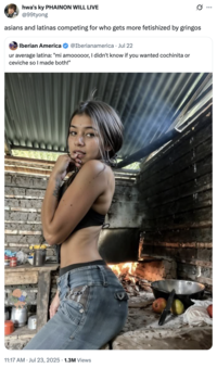 A "quote-tweet":https://knowyourmeme.com/memes/quote-retweets-qrts of the original "tweet":https://knowyourmeme.com/memes/sites/twitter-x that "reposted":https://knowyourmeme.com/memes/repost the photo of the Latina woman cooking over a fire and biting her finger, captioned, "Ur average Latina: 'Mi amooooor, I didn't know if you wanted cochinita or ceviche so I made both!'"