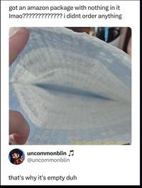 got an amazon package with nothing in it Imao????????????? i didnt order anything YouTube Caldruki uncommonblin ♫ @uncommonblin that's why it's empty duh