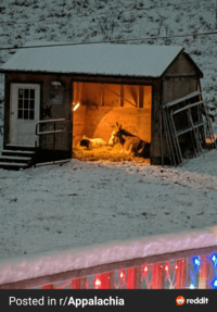 Posted in r/Appalachia reddit