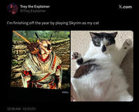 Trey the Explainer @Trey Explainer I'm finishing off the year by playing Skyrim as my cat 12:36 AM 12/31/21 VIZIO X.com