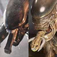 Xenomorph comparison 