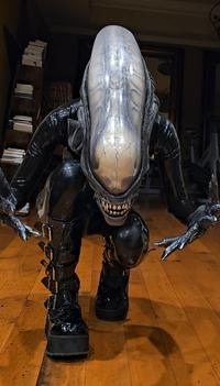 Xenomorph cosplay by Trey the explainer 