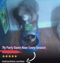 25 My Party Damn Near Every Session Instructions unclear