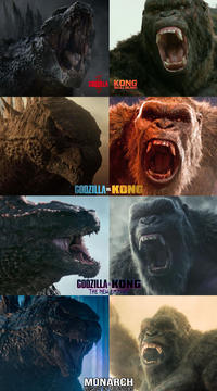 GODZILLA KONG SKULL ISLAND GODZILLA VS KONG GODZILLA KONG THE NEW EMPIRE MONARCH LEGACY OF MONSTERS