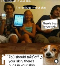 There's bugs in your skin There's bugs in your skin You should take off your skin, there's buas in your skin There's bugs in your skin