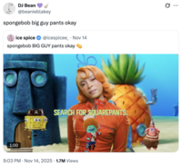 DJ Bean @beanieblakey spongebob big guy pants okay ice spice @icespicee Nov 14 spongebob BIG GUY pants okay 1:00 SEARCH FOR SQUAREPANTS 9:03 PM • Nov 14, 2025 1.7M Views