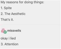 My reasons for doing things: 1. Spite 2. The Aesthetic That's it. missveils okay i lied 3. Attention