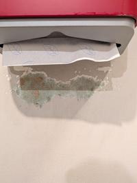 Where people hit the wall when grabbing paper towel