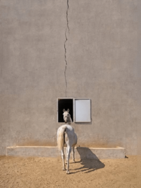 A horse portal