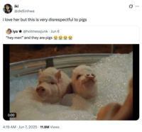 A "quote-tweet":https://knowyourmeme.com/memes/quote-retweets-qrts of the original "Hey Men" and They Are Pigs "tweet":https://knowyourmeme.com/memes/sites/twitter-x about a clip from the "Sabrina Carpenter":https://knowyourmeme.com/memes/people/sabrina-carpenter music video for her song "Manchild."