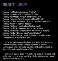 Archived screenshots from journalist Olivia Nuzzi's former MySpace page where she posed under the popstar persona "Livvy."