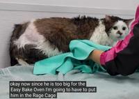 Worst they can say is no