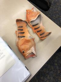 bu h k! ious I am sure for children to find ways to North Dakota, and